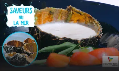 [Saveurs nu lamer] Amateurs d’oursins, ne ratez pas cette recette !