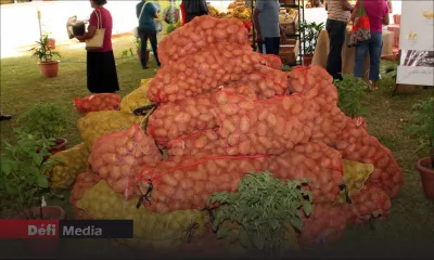 Covid-19 : les prix de la pomme de terre et d’oignon fixés à Rs 40 le kilo