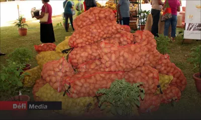 L’AMB a livré 139 tonnes de pommes de terre et 46 tonnes d’oignons ce jeudi