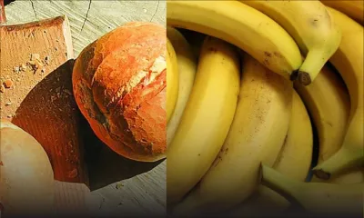 Arrestation d’un SDF de 18 ans : Il avoue avoir volé 25 pains, 20 bananes et 2 cannes à pêche