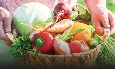 Mercuriale : baisse de Rs 135 sur le panier de légumes