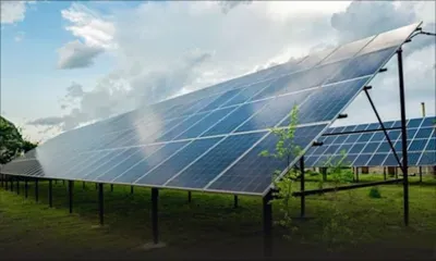 Énergies renouvelables : nouveau projet de ferme solaire à Plaine-des-Papayes