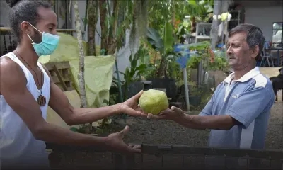 Une papaye, belle illustration de solidarité mauricienne par temps de confinement