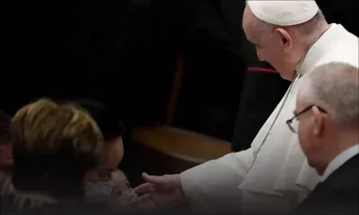 Le pape regrette que les animaux de compagnie «remplacent parfois les enfants»