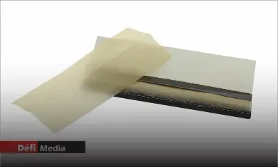 A l’aéroport de Plaine-Corail : un médecin réunionnais épinglé avec des «ti papie» 