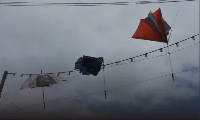 Ambiance électorale : des parasols en l'air à Saint-Julien-d'Hotman