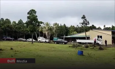 Enquête policière : d'anciens gérants d'un ranch dans la région de Grand-Bassin dans le collimateur des autorités