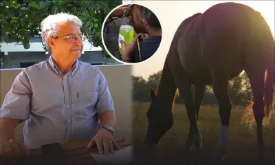 Hippisme - L'importance d'une bonne alimentation chez le cheval
