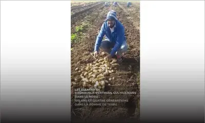 Les Ellayah et Rasamurla-Penthiah : 100 ans et quatre générations dans la pomme de terre