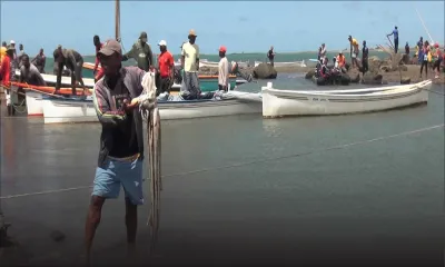 Pêche à l’ourite : le modèle de Rodrigues fait école 