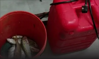 Dans le Sud : quatre personnes verbalisées pour pêche illégale