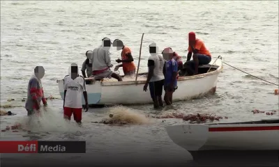 La pêche à la senne prolongée jusqu’au 10 octobre