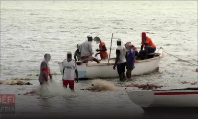 Le public est invité à dénoncer les activités louches dans les lagons de l’île