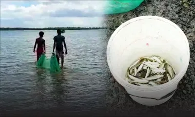 La Gaulette : des pêcheurs continuent à travailler