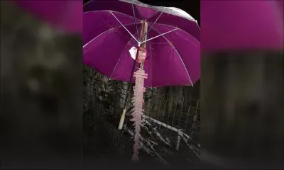 Vu sur Facebook : Adieu Calvinia, bienvenue à  2020 !