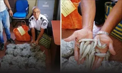 Pêche illégale : joli coup de filet à GRSE 