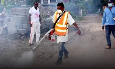 Fièvre dengue : 27 cas actifs