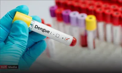59 cas actifs de dengue 