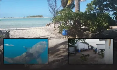 Saint-Brandon : l’île Raphaël, des pêcheurs, des garde-côtes et des requins bouledogues