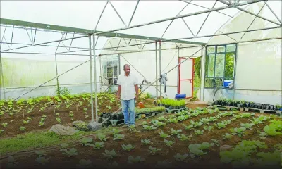 Du droit à la terre : l’étonnant parcours de Celva Runghen