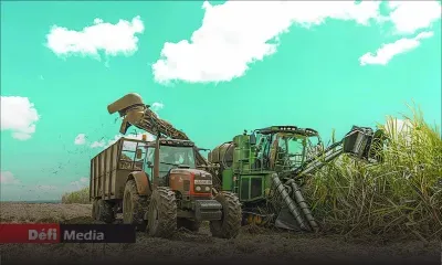 Panne à la centrale thermique d’Omnicane : la saison de coupe de la canne pourrait se prolonger jusqu’en janvier 2026