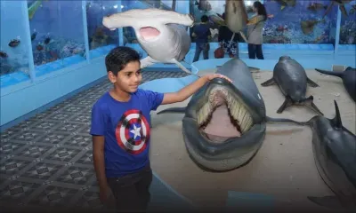 Port-Louis : le musée d’Histoire naturelle rouvre ses portes ; l'entrée est gratuite