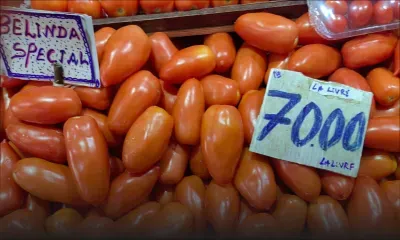 Mercuriale : la pomme d’amour passe de Rs 125 à Rs 70 le demi-kilo