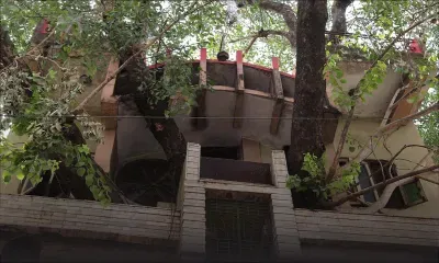 En Inde, une maison construite autour d'un arbre centenaire