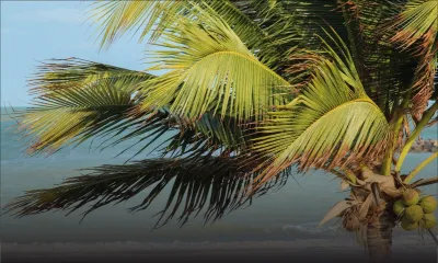 Anticyclone : Des rafales jusqu'à 60 km/h dans les endroits exposés