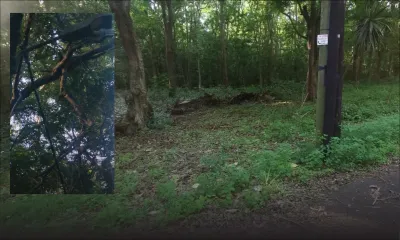 Maha Shivaratri : appel aux autorités pour des mesures afin de faciliter la distribution de nourriture aux pèlerins