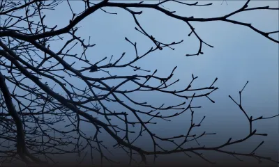 Prévisions météo du 1er décembre : averses modérées dans certaines régions cet après-midi