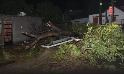Forte tempête Calvinia : 3 350 abonnés privés d'électricité ; voici ce qu'il faut retenir