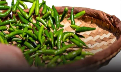De Rs 800 à Rs 900 le demi-kilo : de petit piment  à produit de luxe 