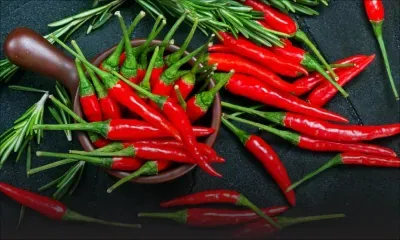 Panier de la ménagère : le piment en vente jusqu’à Rs 155 le demi-kilo