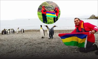 Indépendance : notre quadricolore flotte dans l'Atlantique sud aux côtés des pingouins 