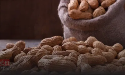 Verdun : 150 kilos de pistaches volés dans une plantation
