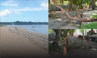 Confinement : la plage de La Preneuse laissée à l'abandon