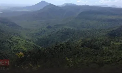 Ossements d’Al Jameel Sayed retrouvés à Plaine-Champagne : la thèse du foul play privilégiée