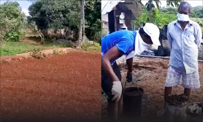 Autosuffisance alimentaire - Retour à la terre : difficile mais vital