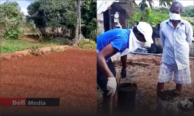 Budget 2022-2023 : Autosuffisance alimentaire : Réaliste ou trop ambitieux ?