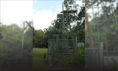 Espèce endémique : la «plante la plus seule au monde» est mauricienne 