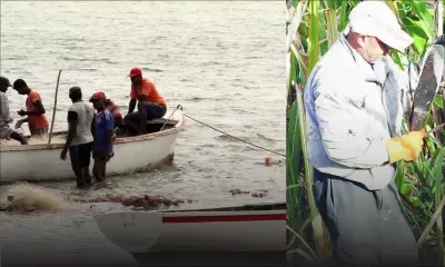 Budget : des pêcheurs et petits planteurs se mobilisent pour dénoncer le « laxisme » du Premier ministre 