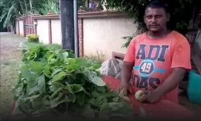 Confinement oblige : Pretamcoomar, le maçon reconverti en marchand de légumes