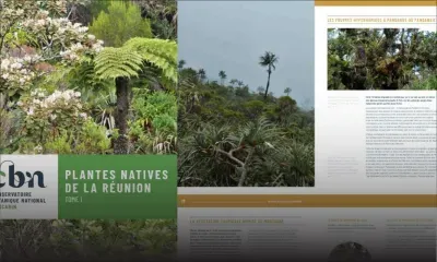 Accès libre en ligne au 1er tome «Les plantes natives de La Réunion»