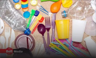 Projet pédagogique « Freedom Plastic » : donner une deuxième vie au plastique à usage unique