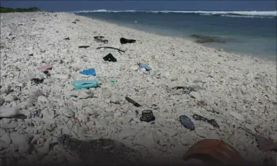 Des scientifiques créent par hasard une enzyme dévoreuse de plastique