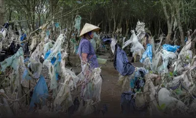 5 000 milliards de sacs par an: le monde malade de sa consommation de plastique