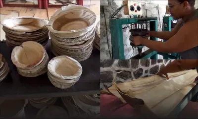 [Success Story] Franceska : ses assiettes écolos sont son gagne-pain