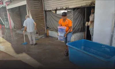 Post-pluies torrentielles: Grand nettoyage