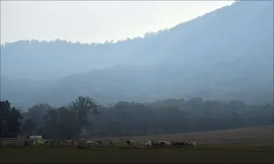 La pluie, enfin, sur les incendies en Australie